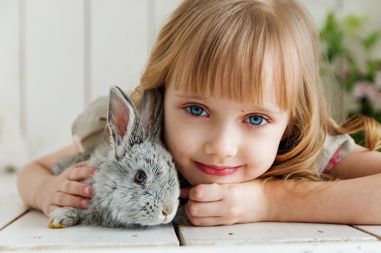 Un animal domestique pour tenir compagnie à votre enfant.